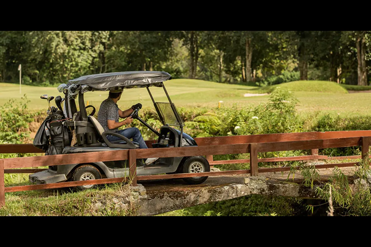 Golf Cart Batteries