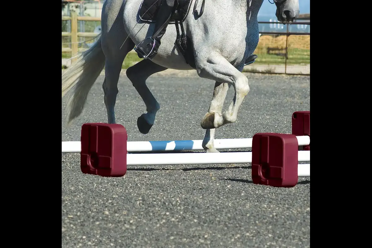 Horse Jump Packages