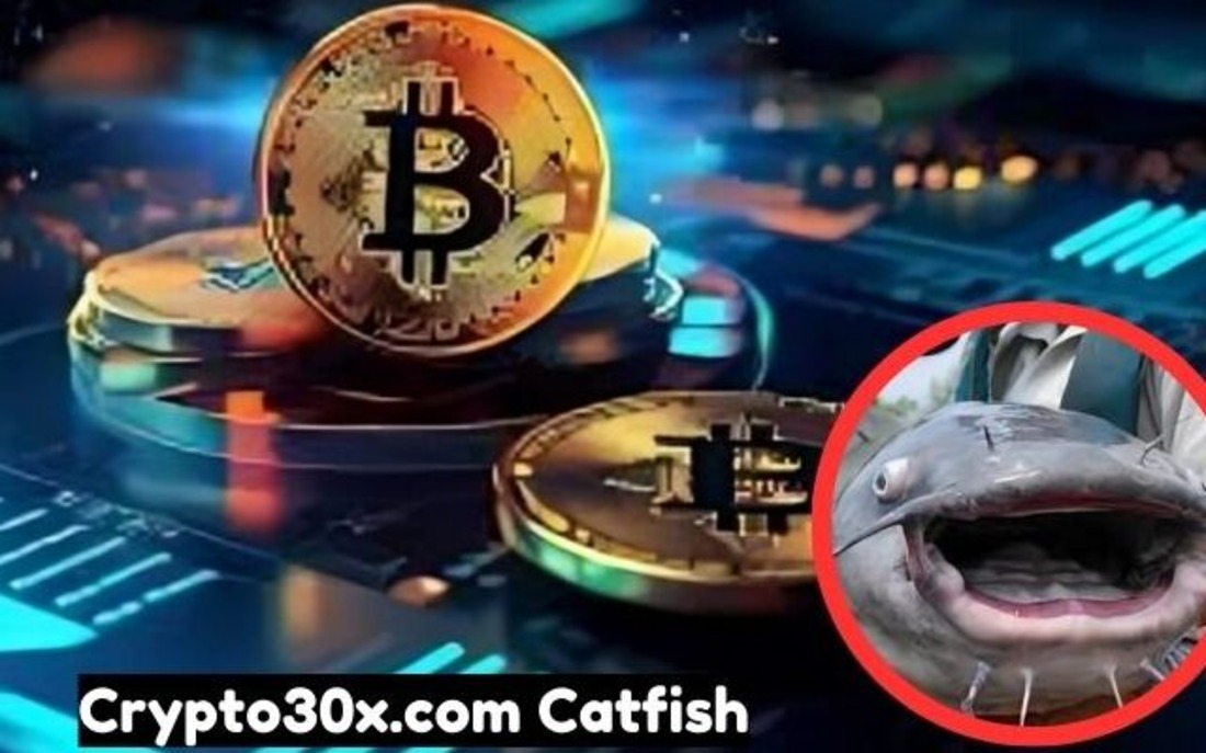 Crypto30x.com Catfish